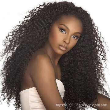 Hot Products 10a Grade Brazilian Virgin Human Hair Ear to Ear Lace Closure Jerry curl T part Transparent lace front wig